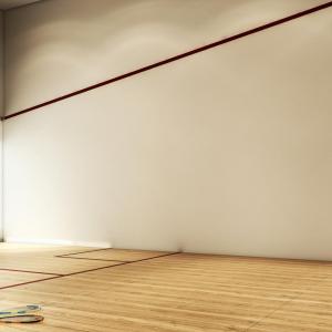 Artistic illustration of Squash